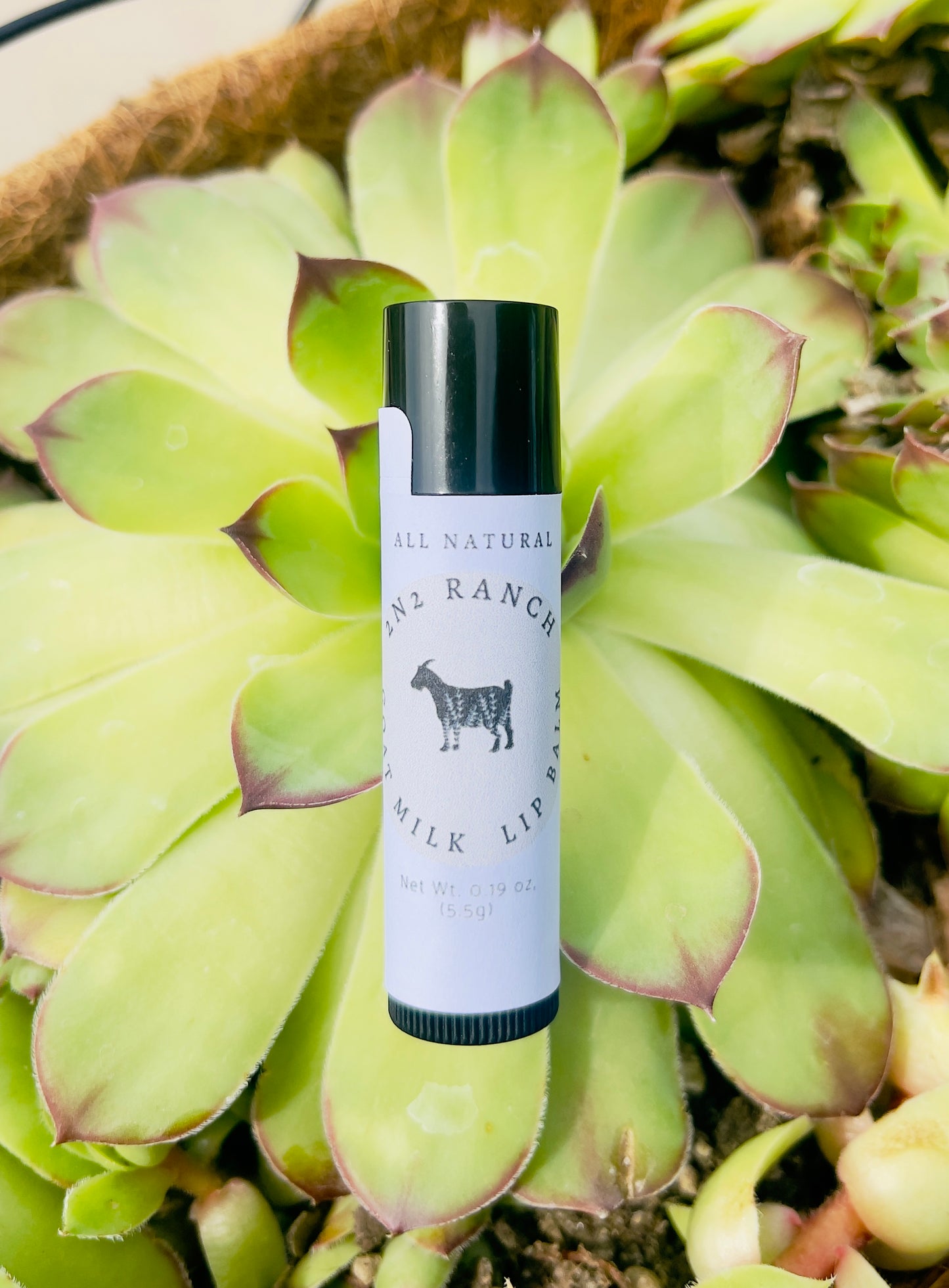 Goat Milk Lip Balm | All Natural | Goat Milk Products | Lip Balm