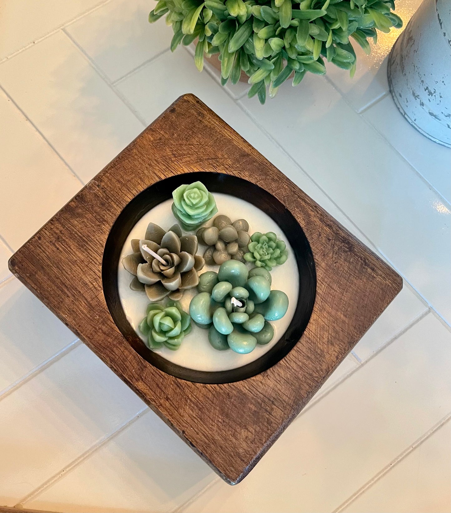 Cheese Mold Succulent Candle | Succulent Candle | Handmade | Candles | Reusable Container | Cheese Mold Candle
