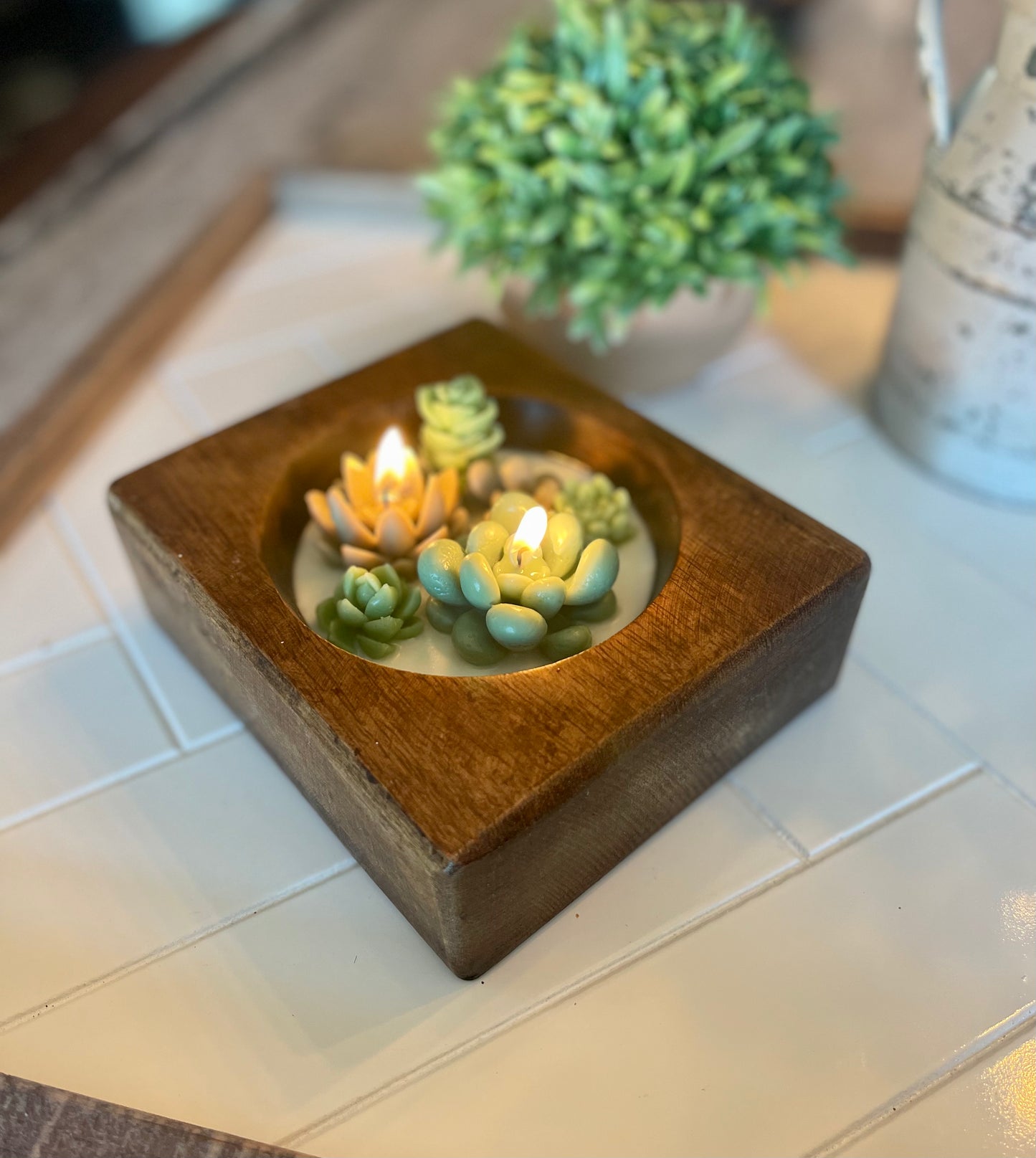 Cheese Mold Succulent Candle | Succulent Candle | Handmade | Candles | Reusable Container | Cheese Mold Candle