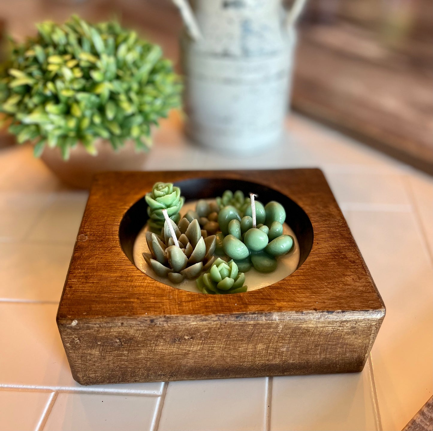 Cheese Mold Succulent Candle | Succulent Candle | Handmade | Candles | Reusable Container | Cheese Mold Candle