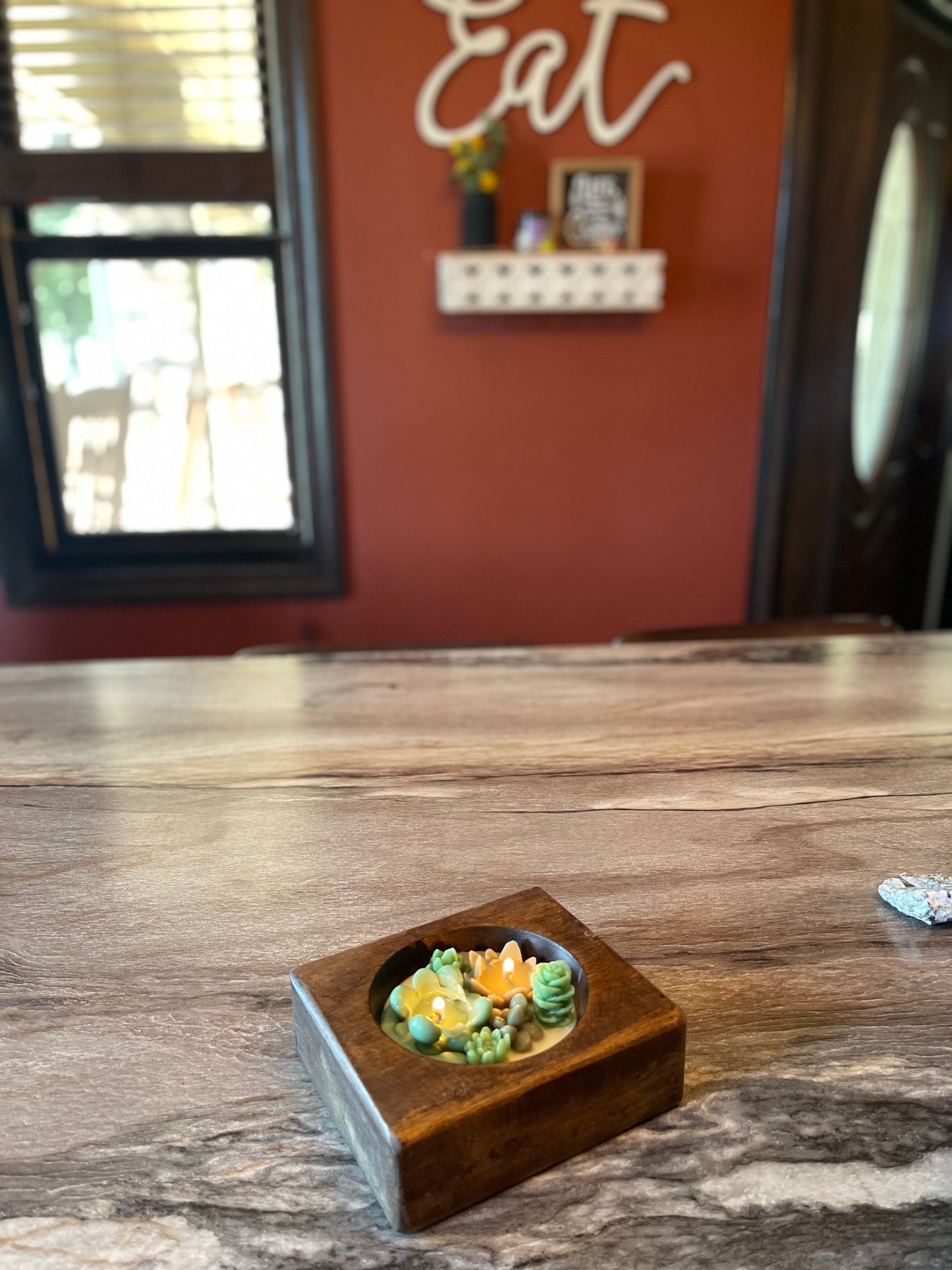 Cheese Mold Succulent Candle | Succulent Candle | Handmade | Candles | Reusable Container | Cheese Mold Candle