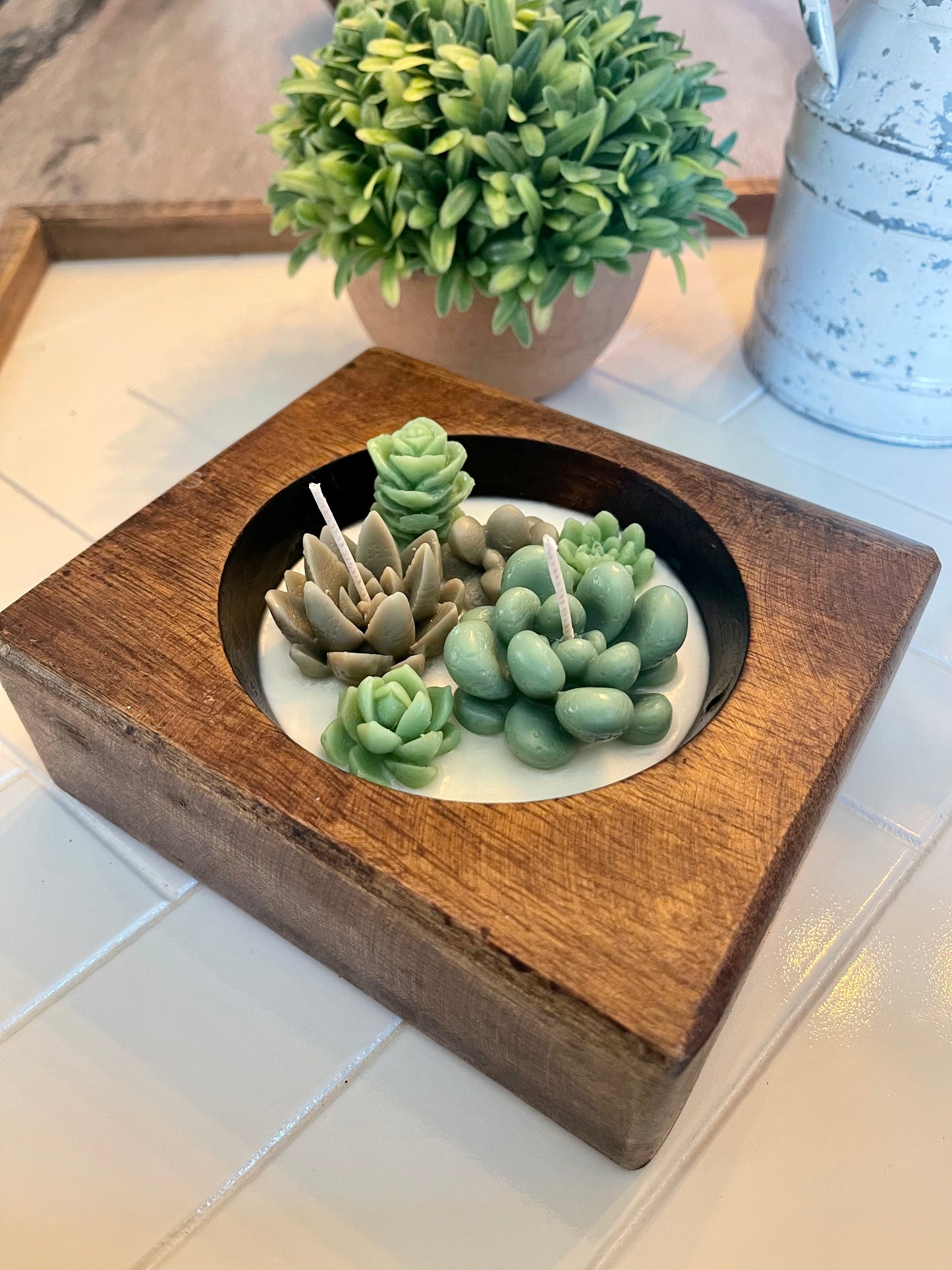 Cheese Mold Succulent Candle | Succulent Candle | Handmade | Candles | Reusable Container | Cheese Mold Candle