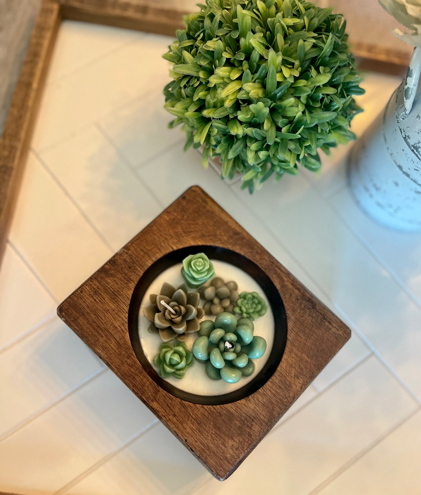 Cheese Mold Succulent Candle | Succulent Candle | Handmade | Candles | Reusable Container | Cheese Mold Candle