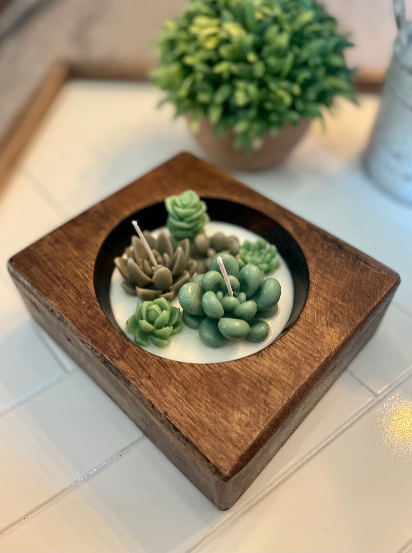 Cheese Mold Succulent Candle | Succulent Candle | Handmade | Candles | Reusable Container | Cheese Mold Candle
