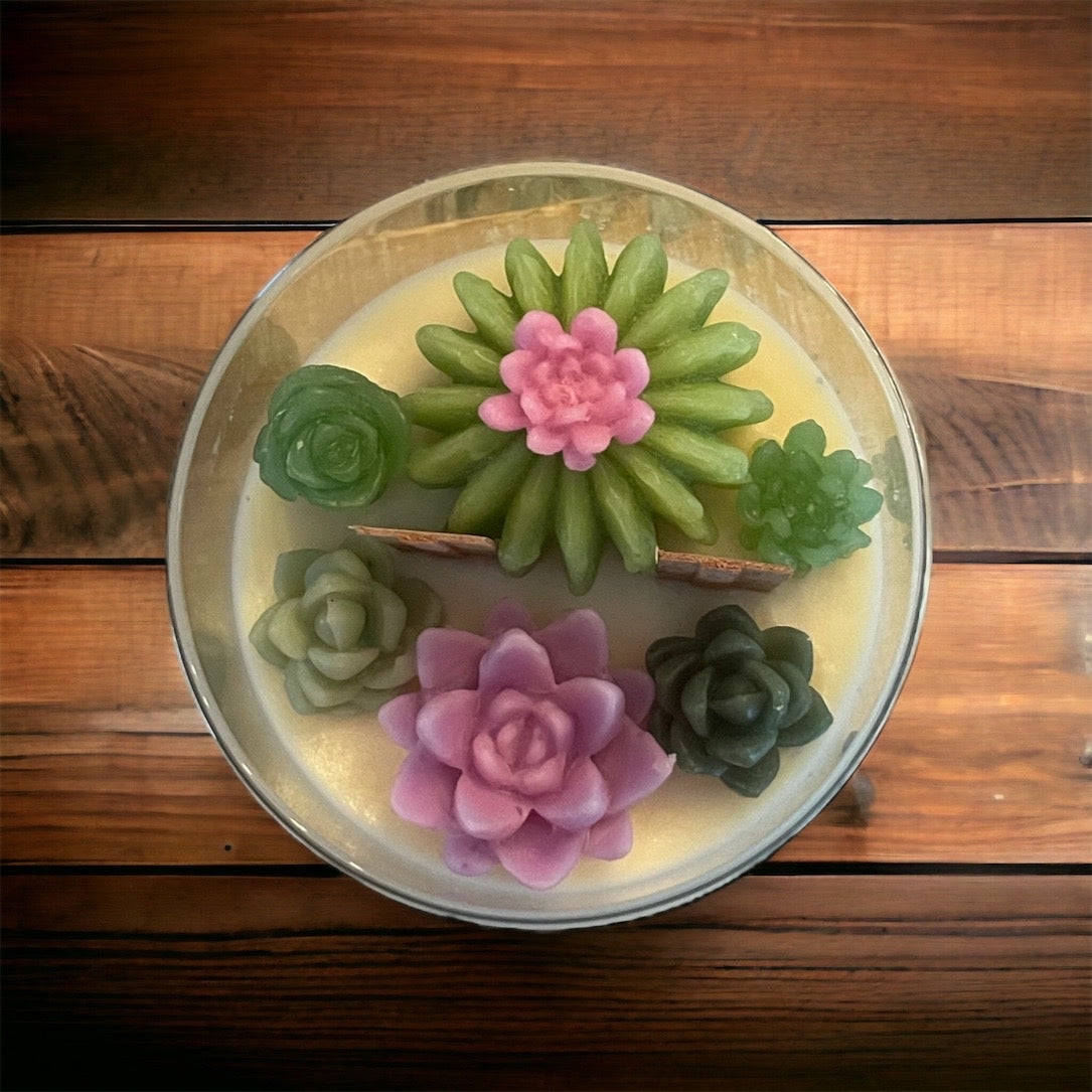 Glass Succulent Candle with Lid| Succulent Candle | Handmade | Candles | Reusable Container