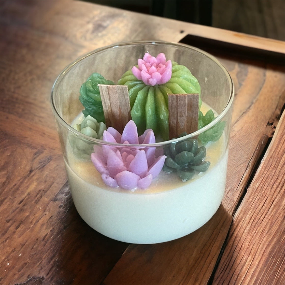 Glass Succulent Candle with Lid| Succulent Candle | Handmade | Candles | Reusable Container