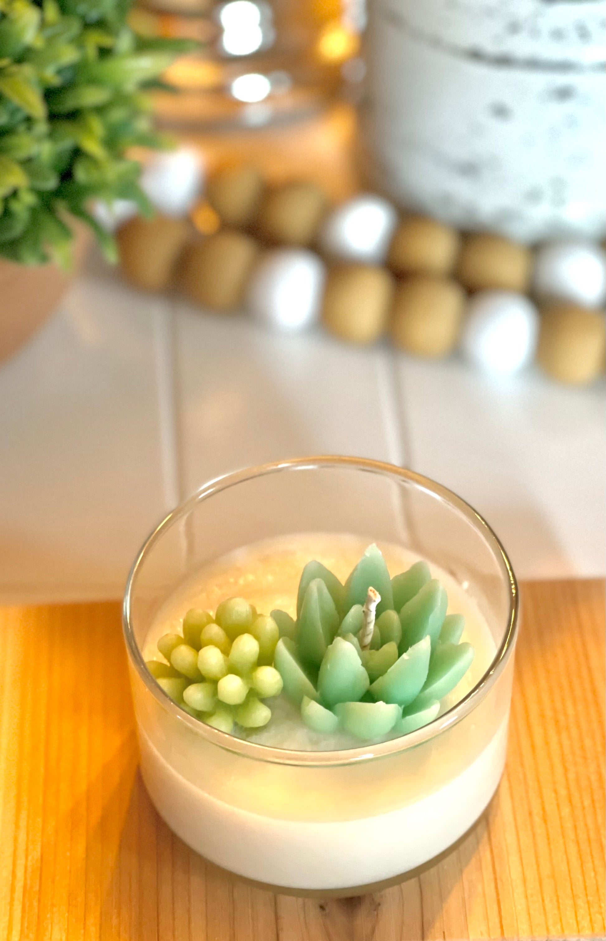 Succulent Candle | Room Decor | Soy Candle | Many Scents Available - 2n2ranch