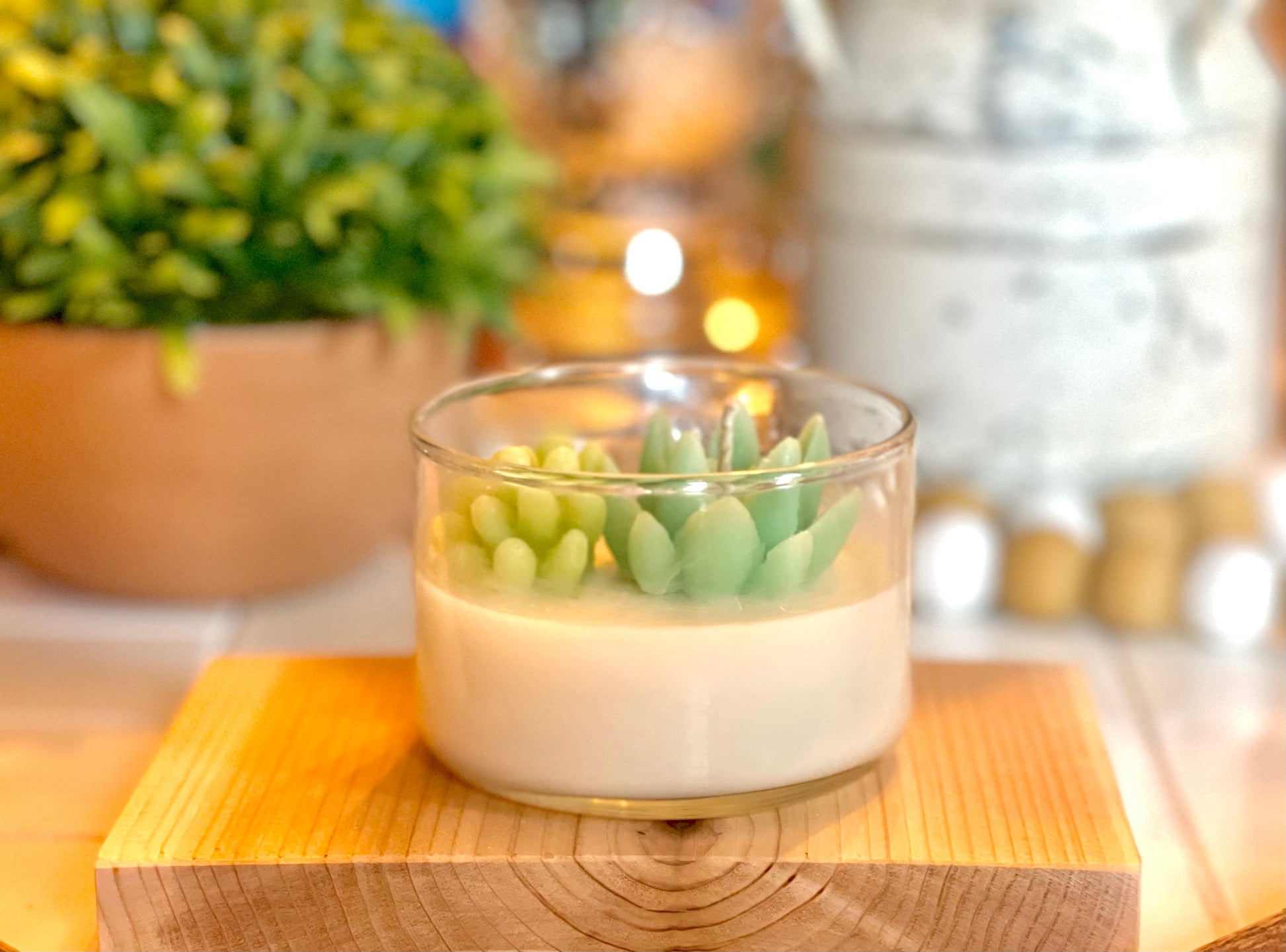 Succulent Candle | Room Decor | Soy Candle | Many Scents Available - 2n2ranch