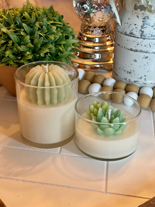 Succulent Candle | Room Decor | Soy Candle | Many Scents Available - 2n2ranch