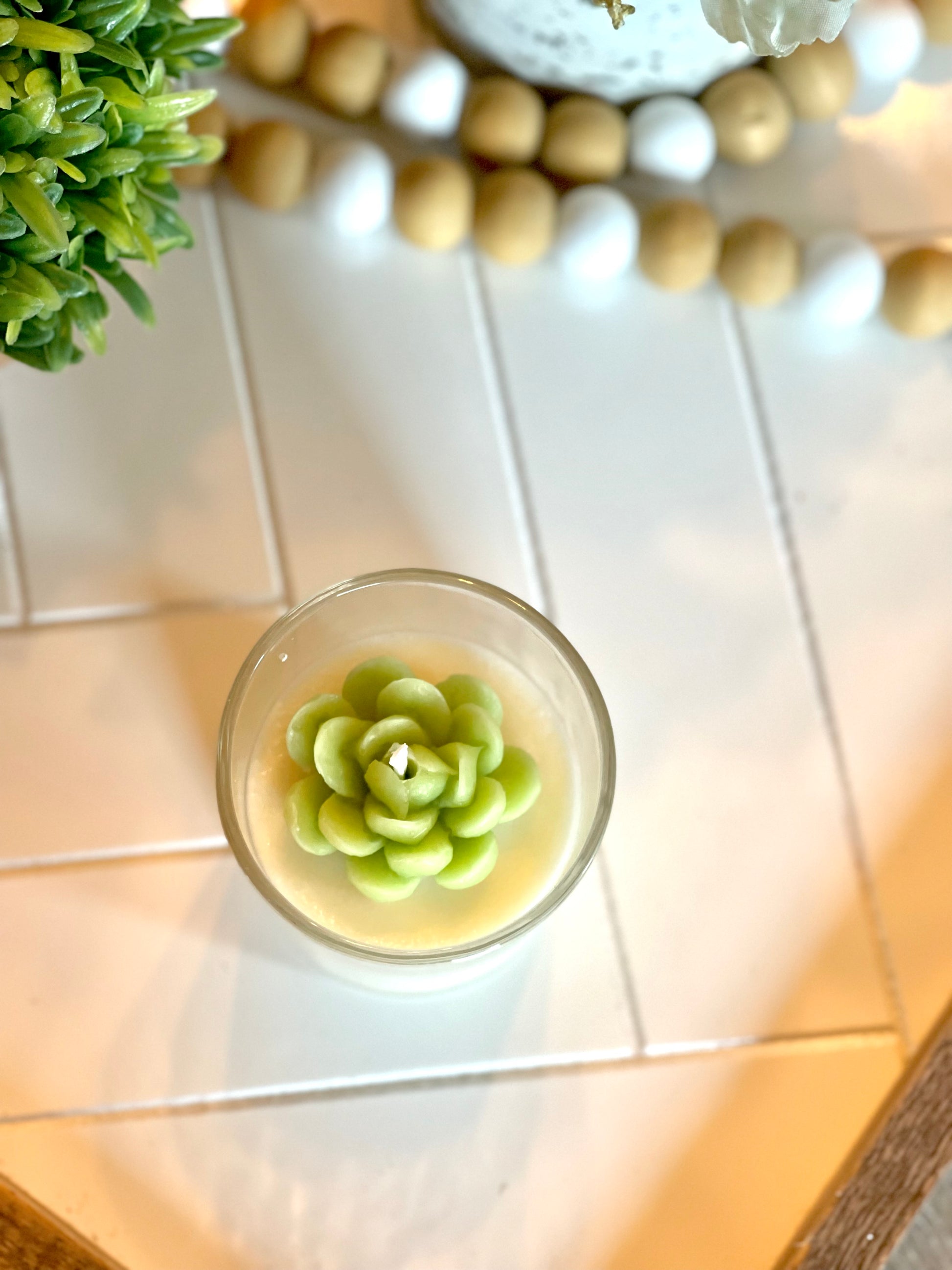 Succulent Candle | Room Decor | Soy Candle | Many Scents Available - 2n2ranch