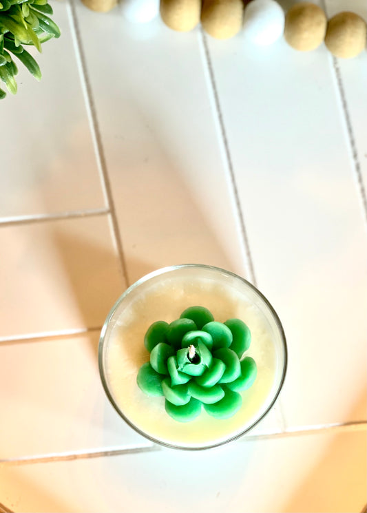 Succulent Candle | Room Decor | Soy Candle | Many Scents Available - 2n2ranch