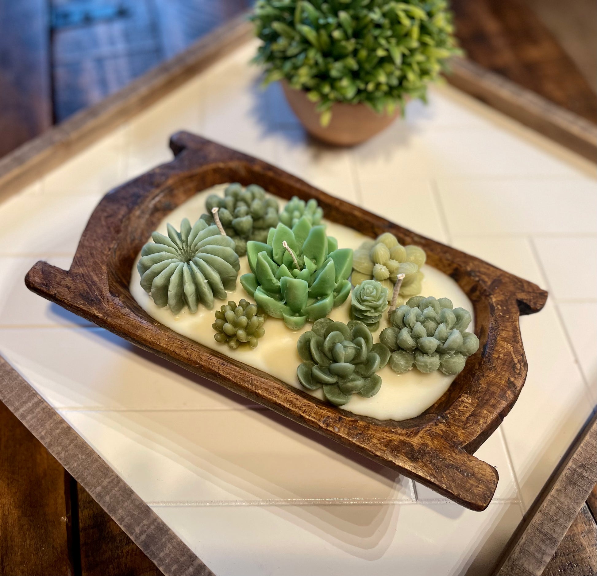 Succulent Dough Bowl Candles 2n2ranch